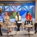 Presencia Femenina en la Dirección de Empresas Catalanas: Datos Clave